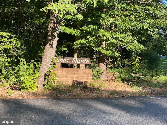 Building Photo - 23309 Sugar Maple Ct