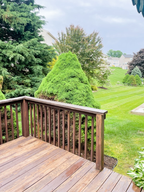 Building Photo - 425 N Prince St