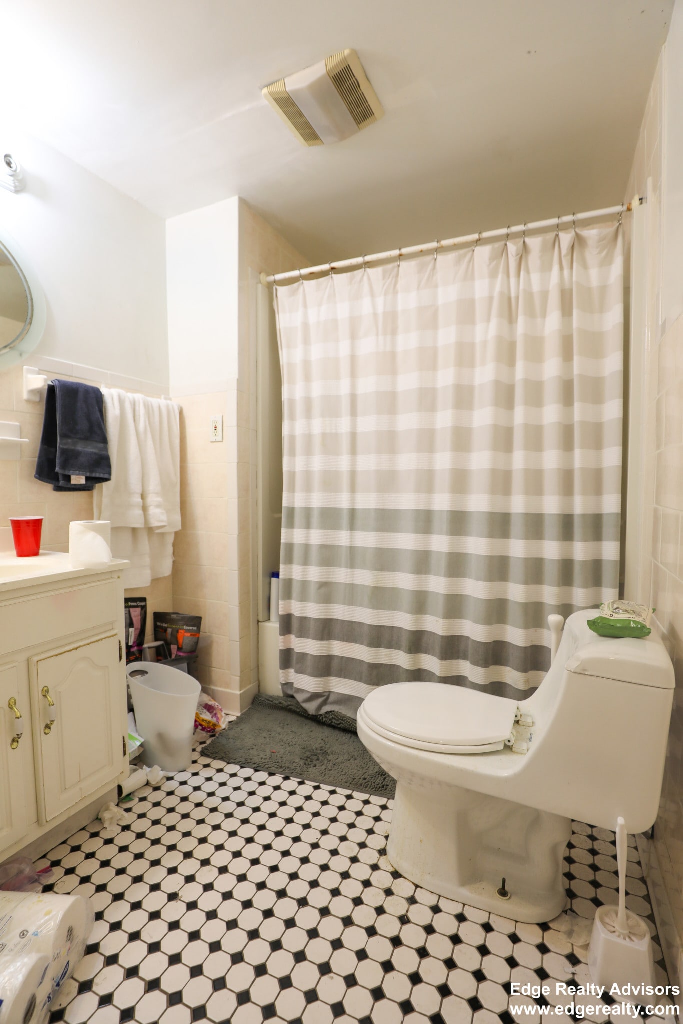 Building Photo - 56 Egmont St