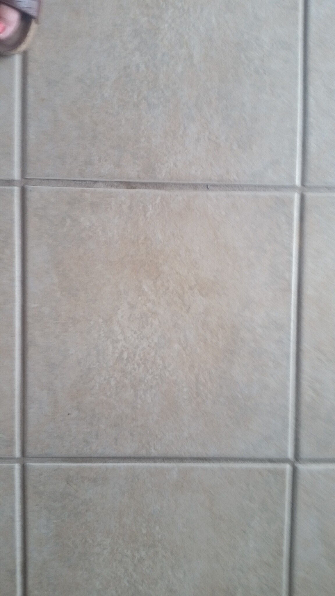 Tile everywhere except bedrooms - 5119 Galloping Way