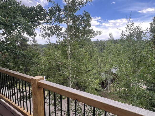 Building Photo - Beautiful Home in Echo Hills!