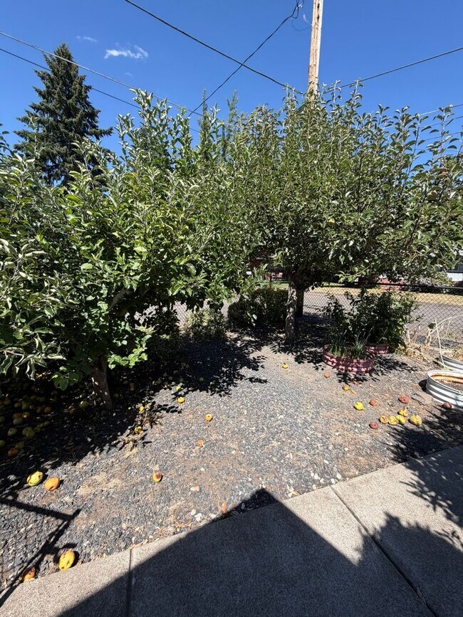 Building Photo - 3 Bedroom on Large corner lot!