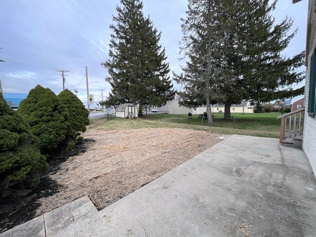 Back Yard - 729 3rd St