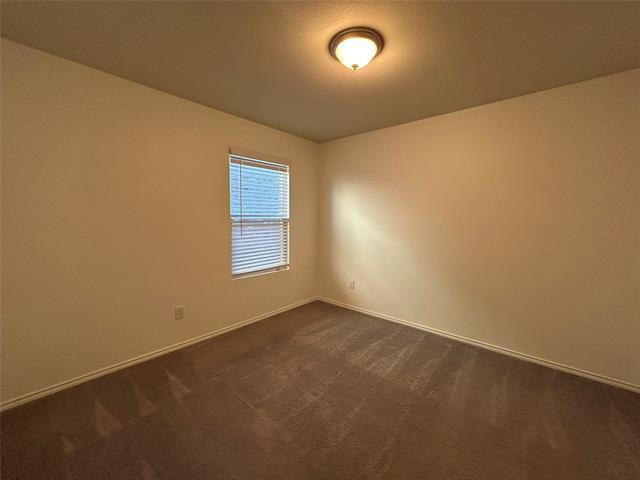 Building Photo - 4640 Greyberry Dr