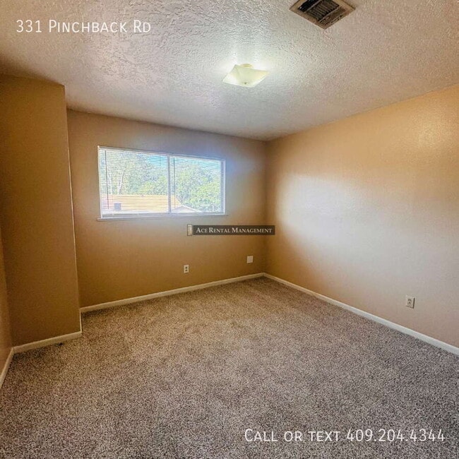 Building Photo - 331 Pinchback Rd