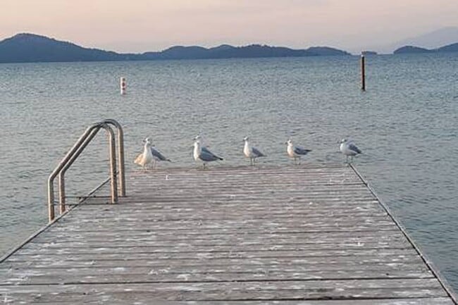 Building Photo - Best Baypointe Condo - ONLY Oct 7th - May 31st(maybe longer)