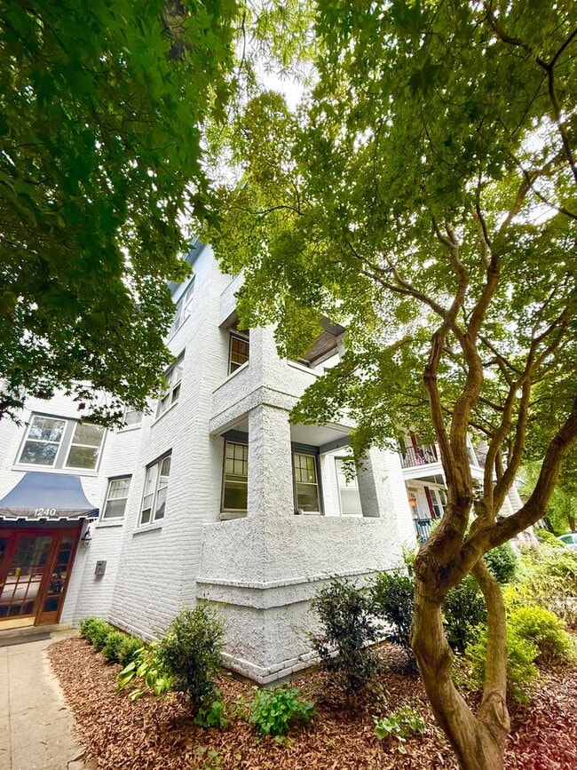 Building Photo - **BEST DEAL**Ghent -2 Bedroom condo 2nd Fl...