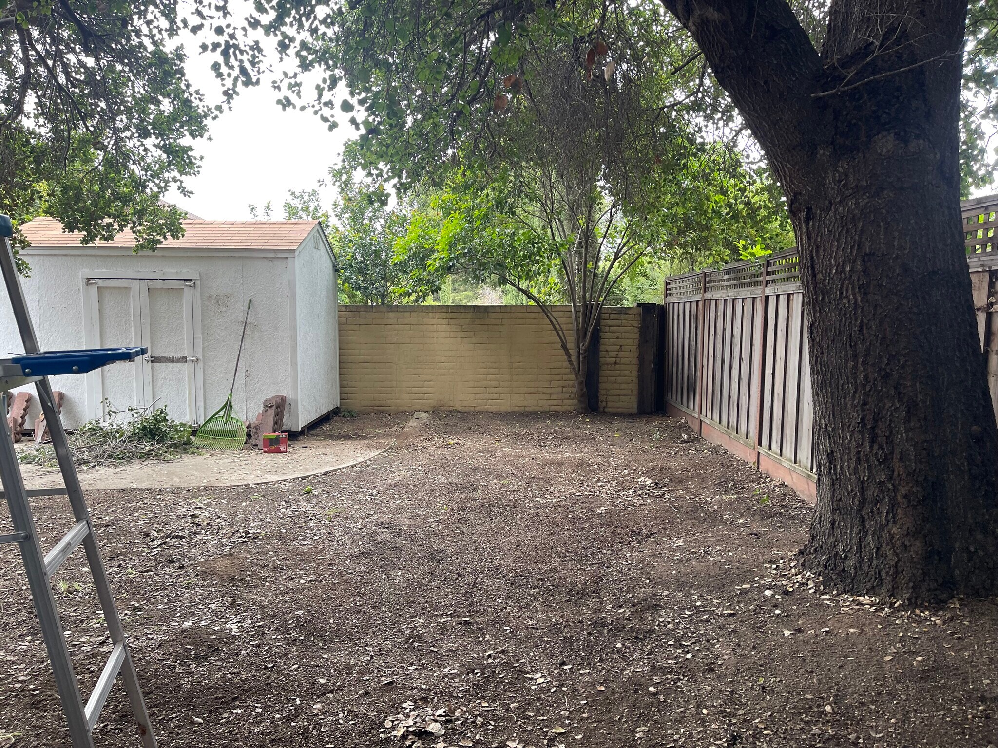 Backyard - 15040 Los Gatos Blvd