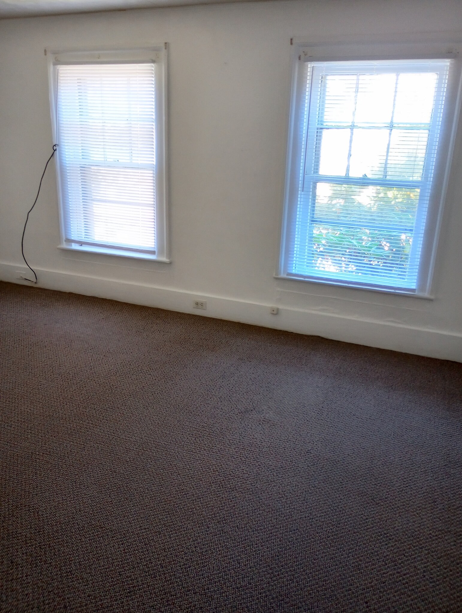 Living room view 1 - 741 W Church St