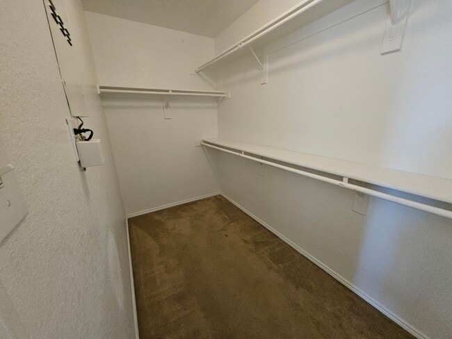 Building Photo - Newly Renovated Single Family Home | 3 BR/2BA | with Radiant barrier insulation!