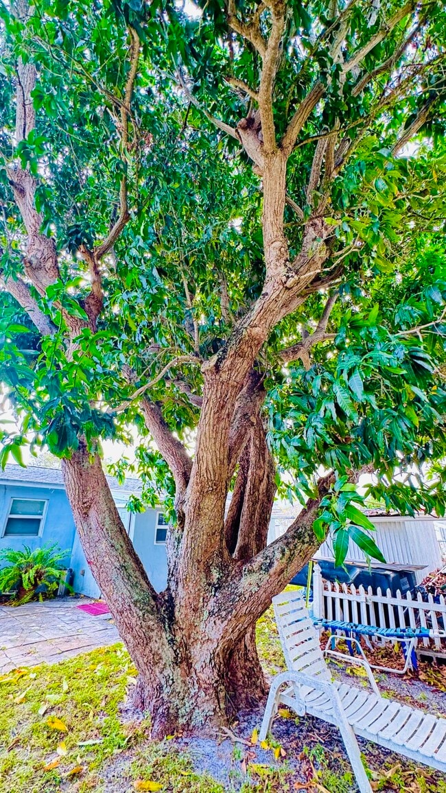 Building Photo - 347 Flagler Blvd