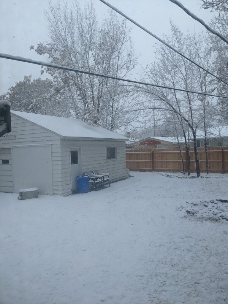 Back yard - 1357 Pinyon Ave