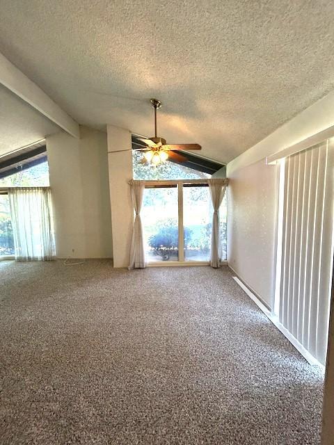 Building Photo - 1341 Seven Hills Dr