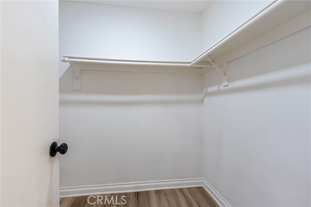 Building Photo - 11721 Mt Sterling Ct