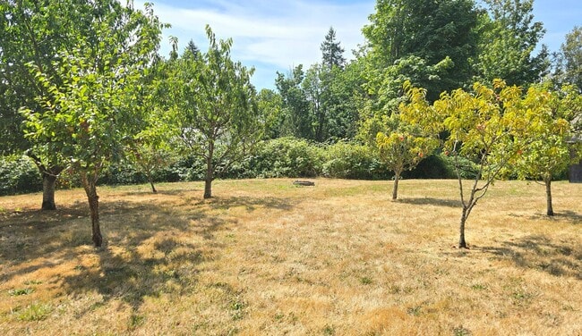 Building Photo - 3 Bedroom Home in Marysville Now Available!