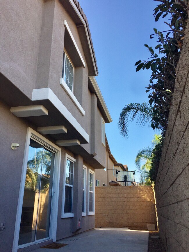 backyard - 504 Robins Pl