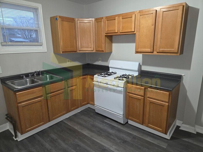 Building Photo - 4-Bedroom Duplex Downstairs unit in 2-Flat with Parking