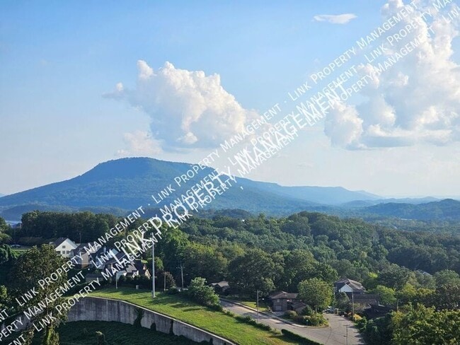 Building Photo - 1131 Stringers Ridge Rd