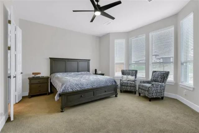 Building Photo - 3706 Bridlewood Trail