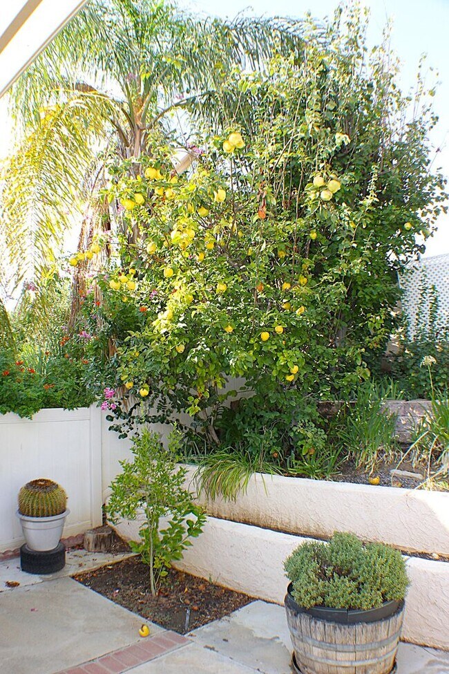 Building Photo - Beautiful Sun Lakes Country Club Home – 55+ Gated Community