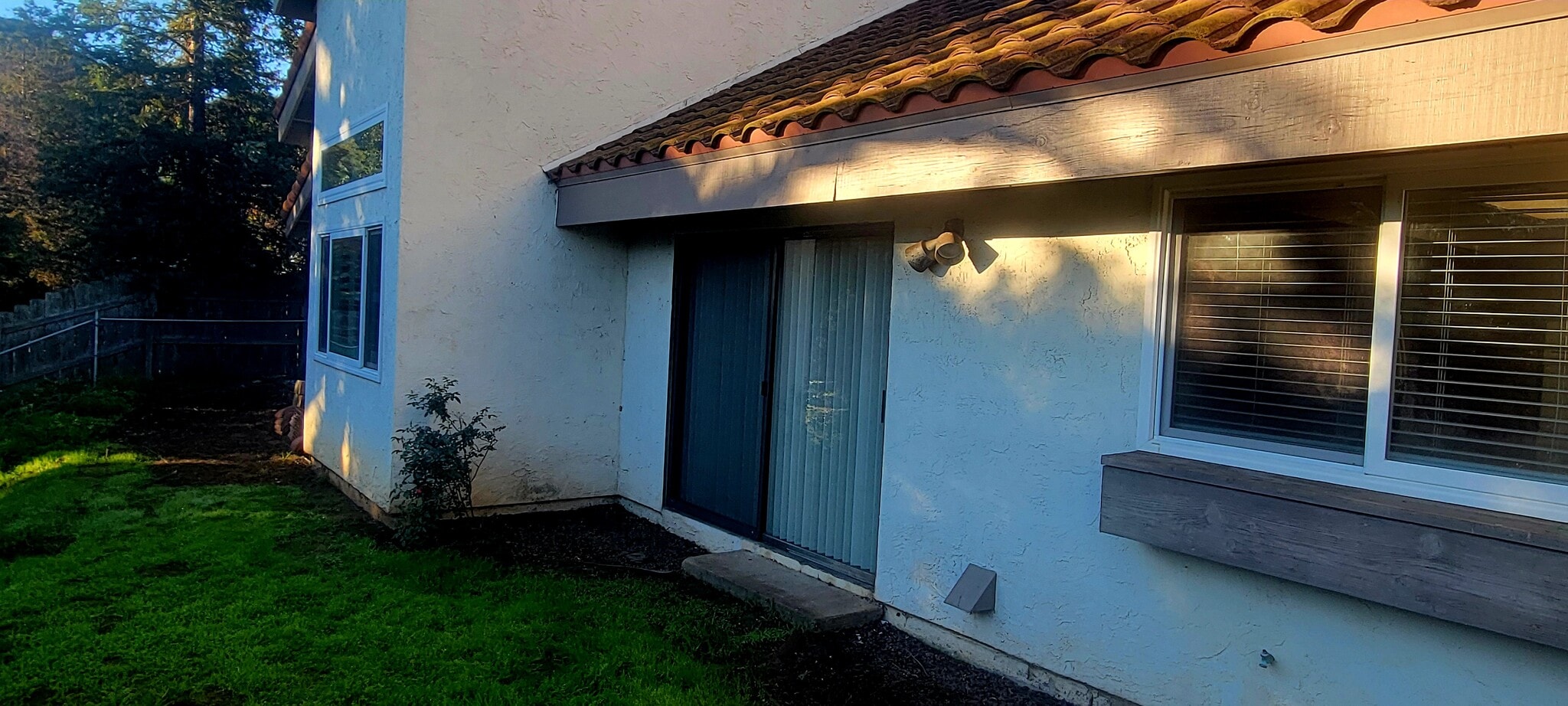 Large yard with mature trees including producing olive & lemon trees and tranquility - 16139 Ladera Piedra Way