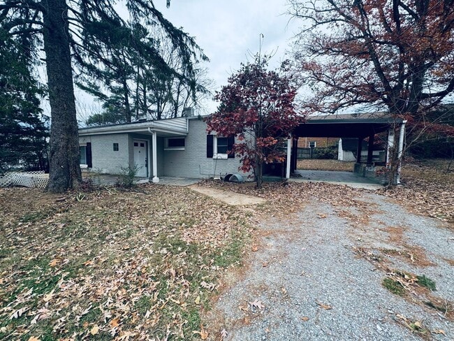 Primary Photo - Timberlake Area House