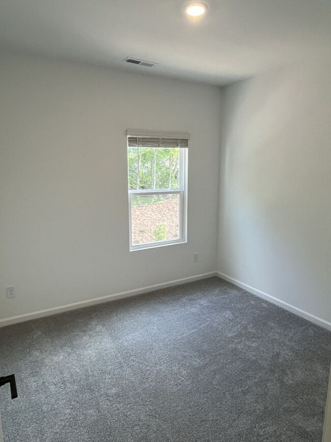 Building Photo - Brand New 4 Bed Townhome in North Charlotte!