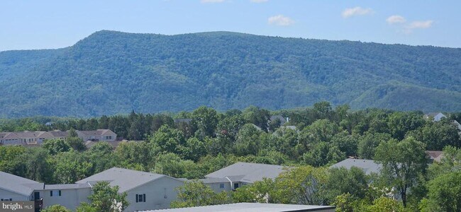 Building Photo - 225 Brandy Ct