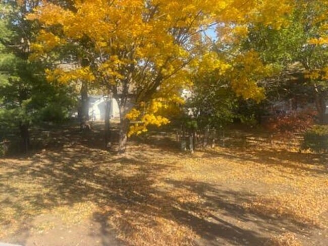 Building Photo - Split Level 4 Bedroom