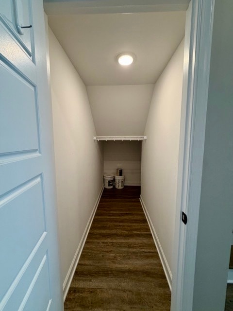 Living Room Deep Closet - 1373 Palomino Trl