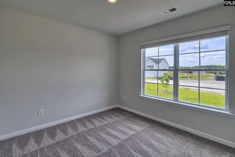 Building Photo - 716 Common Widgeon Wy