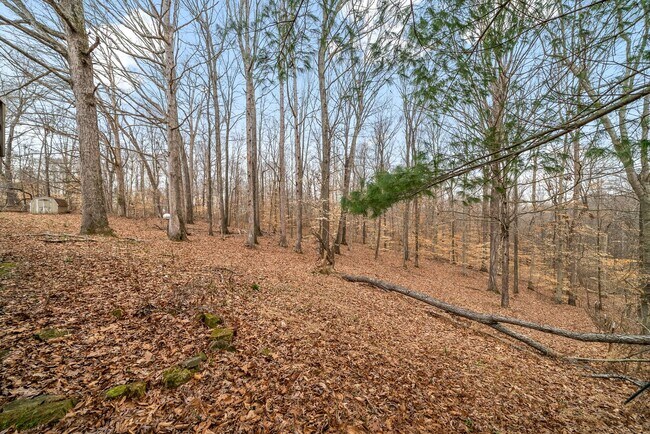Building Photo - Lovely home on beautiful, wooded corner - Just Reduced
