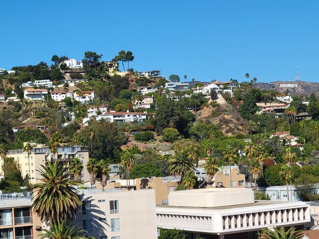 Building Photo - 7135 Hollywood Blvd