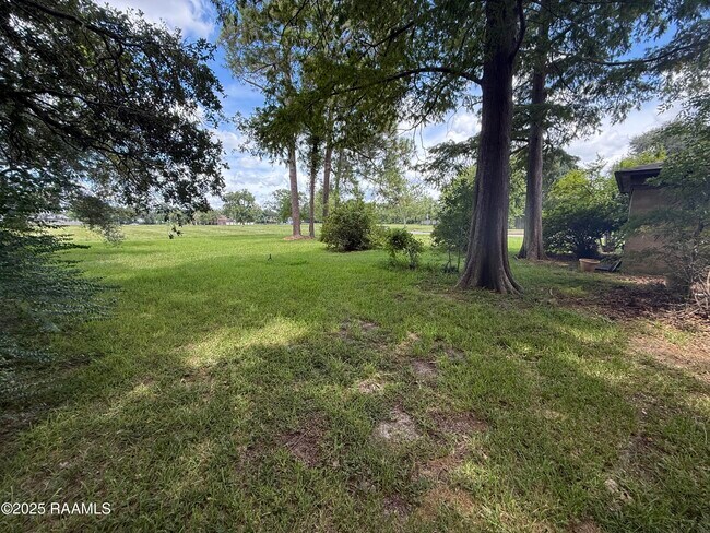Building Photo - 417 E Broussard Rd