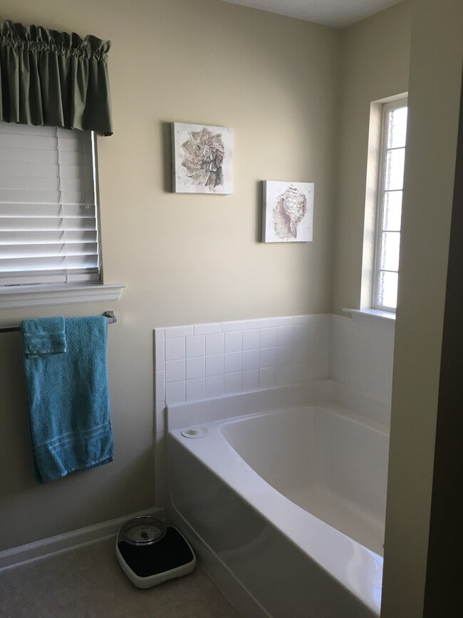 master bath - 1243 Carriage Dr