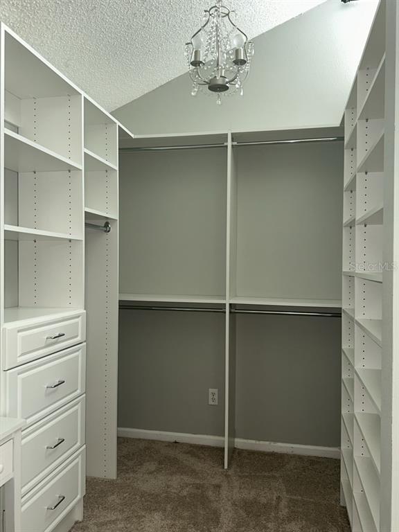 Building Photo - 2304 Triad Ln