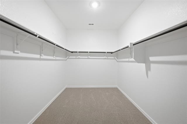 Building Photo - 413 Midnight Oak Dr