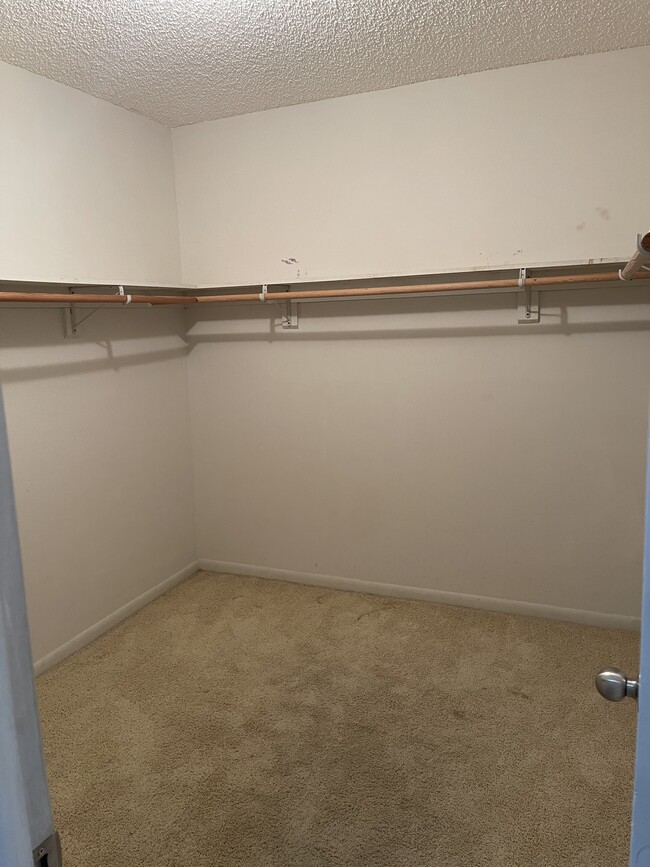 Building Photo - 2436 Raleigh St