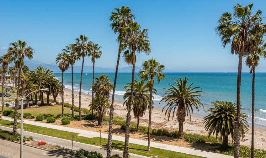 Primary Photo - Sea Cliff Apartments