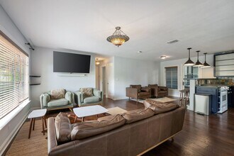 Building Photo - Remodeled Travis Heights Bungalow - 3 BR /...