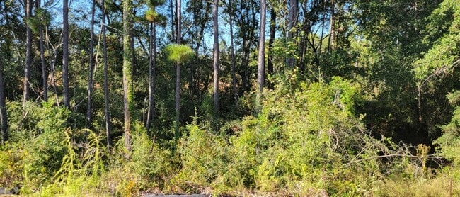 Building Photo - 135 Harlequin Duck Ct