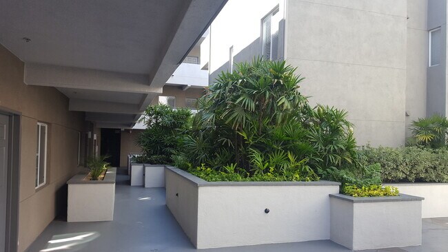 Building Photo - The Mills at Cortez Hill 1 Bed/1 Bath For ...