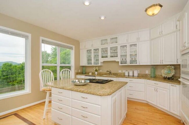Building Photo - East AVL - Mountain Views and Space Galore!