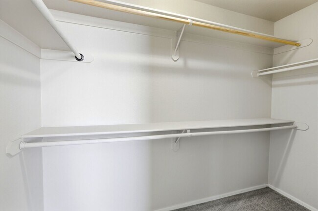 Building Photo - 4 bedroom with NO HOA! New Appliances & New Carpet!