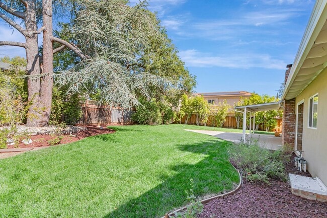 Building Photo - Fabulous 3BR 2BA Single Family Los Altos Home