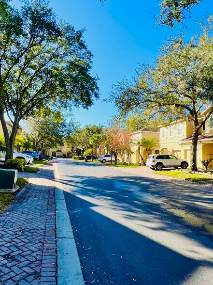 Private street - 10619 Shady Falls Ct