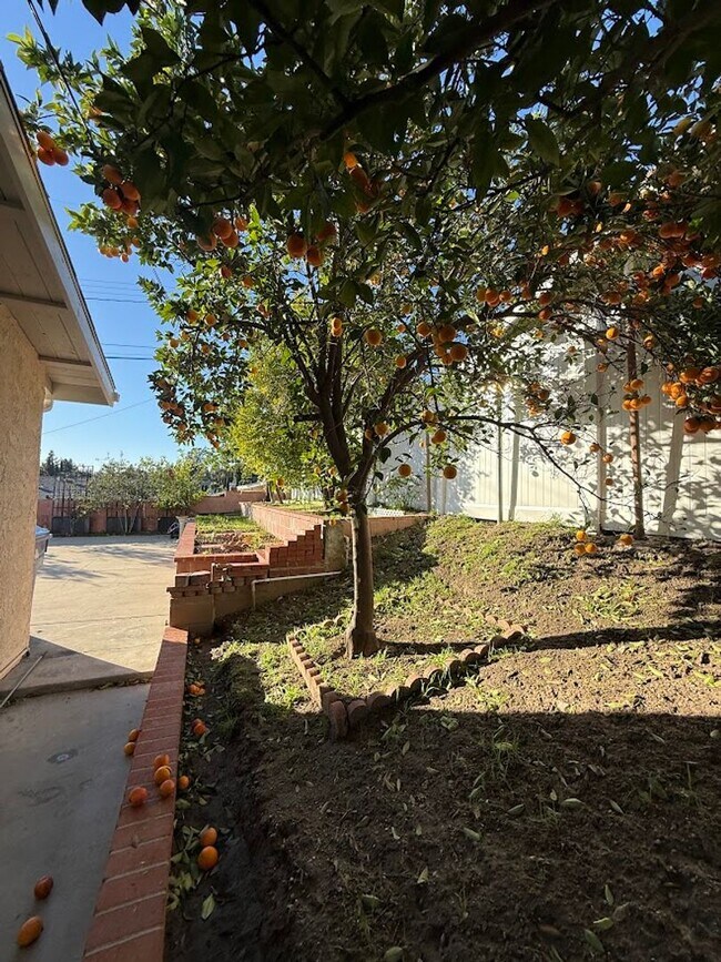 Building Photo - 11725 Monogram Ave