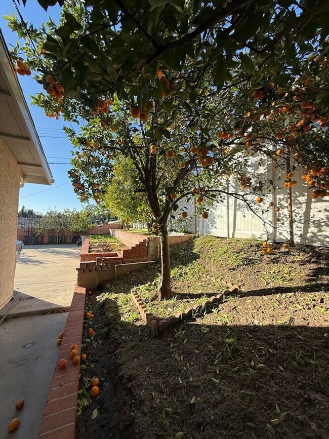 Building Photo - 3 Bedroom 2 Bathroom Granada Hills Home (Main House) Great Location!