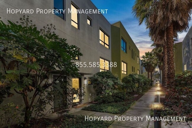 Building Photo - 904 Zephyr Dr