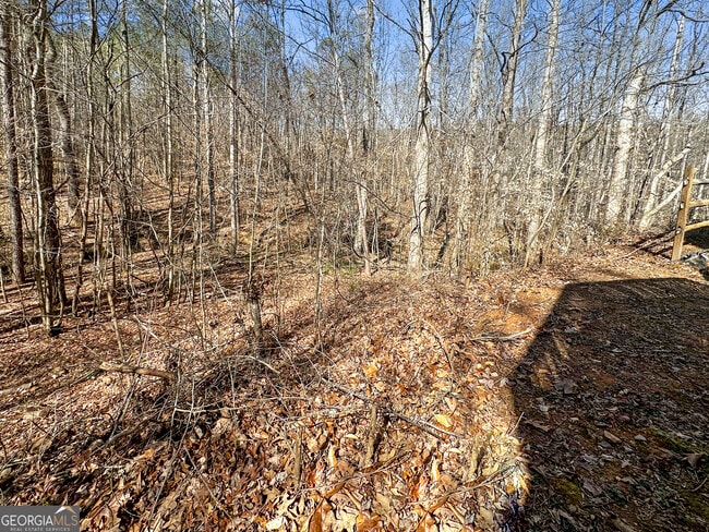 Building Photo - 209 Wesley Mill Ln